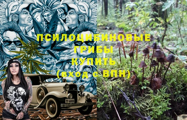 соль ск Аркадак