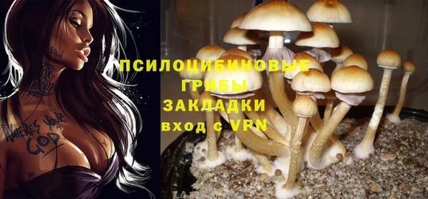 ешки Армянск