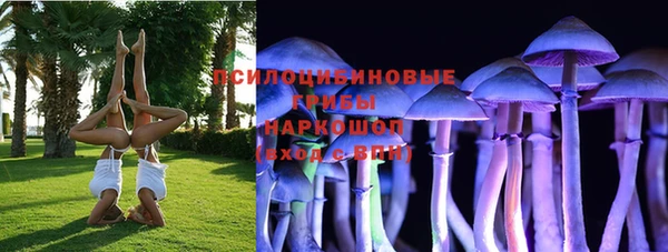 ешки Армянск