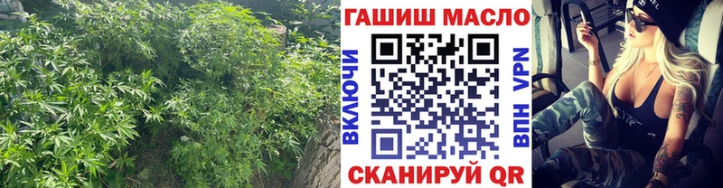 сколько стоит Сибай ТГК гашишное масло