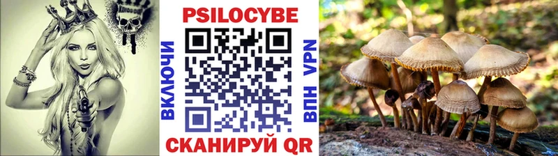 Галлюциногенные грибы Psilocybe  OMG как зайти  Сибай 