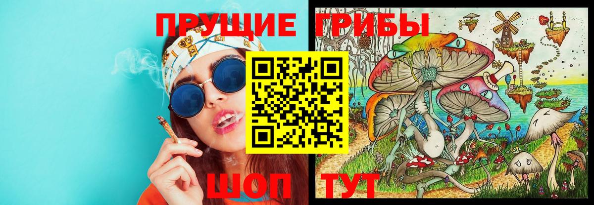 Сибай  Псилоцибиновые грибы Magic Shrooms  Вход с VPN  Галлюциногенные грибы Psilocybine cubensis 