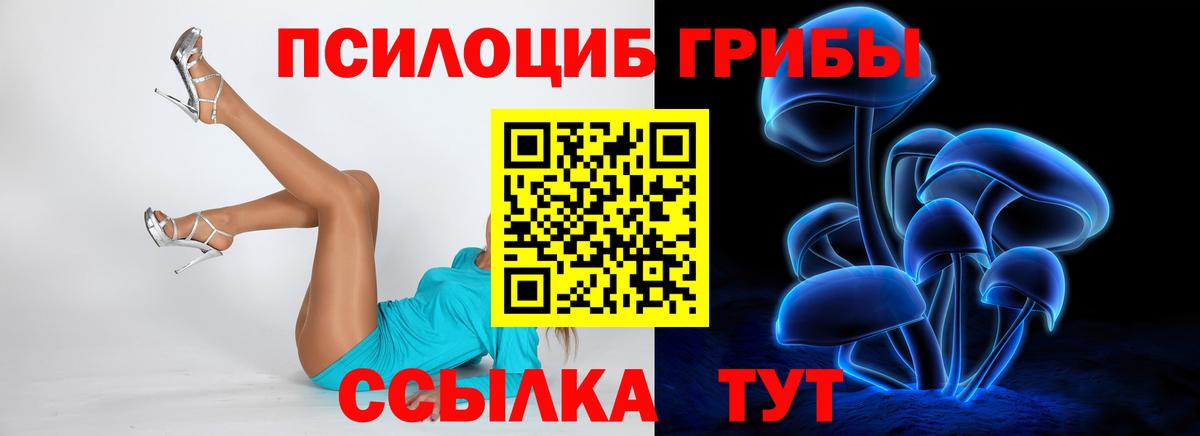 Галлюциногенные грибы Magic Shrooms Сибай